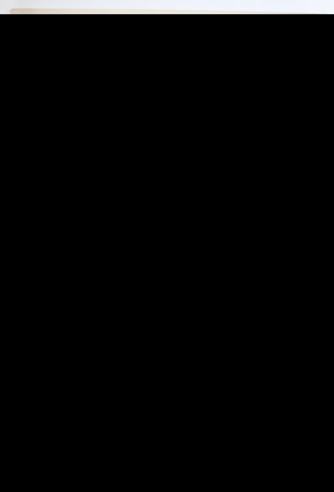 Große Abbildung Nr.3: 143-2945 Dreesen, Wilhelm: (Mittelmeerreise)