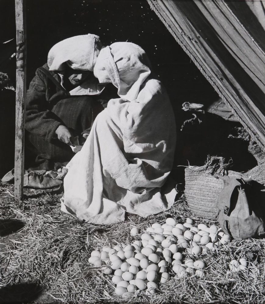 Große Abbildung Nr.5: 143-2960 Rouget, Bernard: (Photographie)