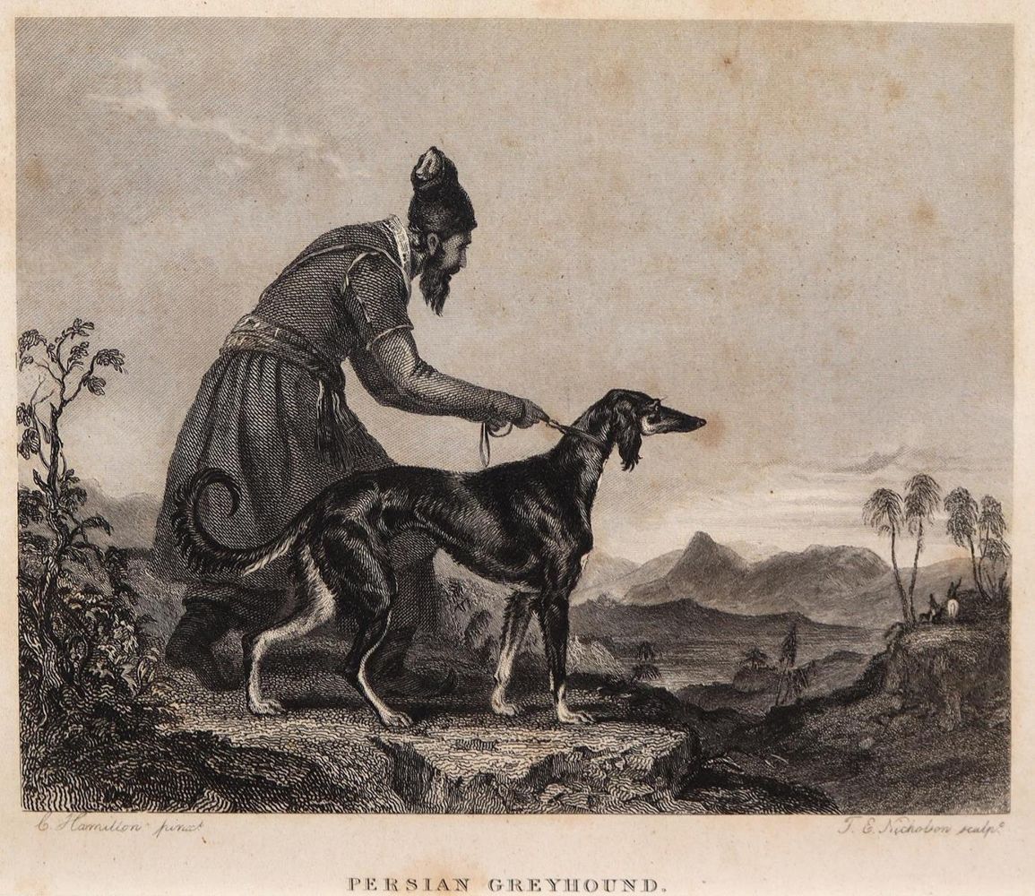 Große Abbildung Nr.2: 143-3033 Konvolut.: (Varia, Jagd)