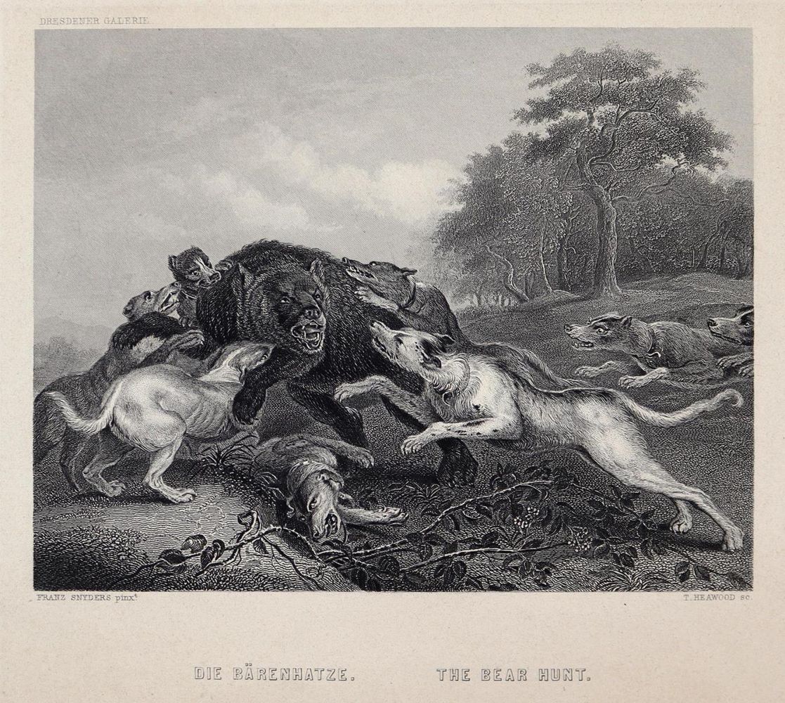 Große Abbildung Nr.3: 143-3033 Konvolut.: (Varia, Jagd)