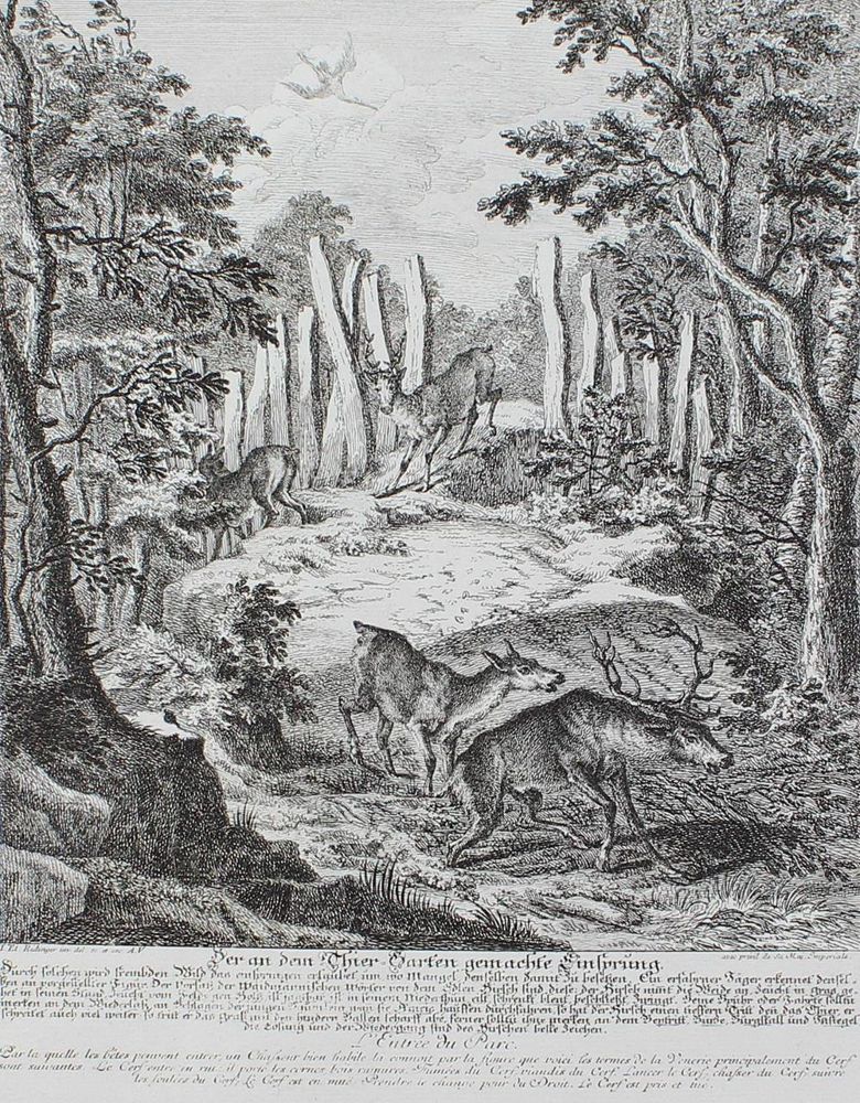 Große Abbildung Nr.3: 143-3036 Jagdkunst.: (Varia, Jagd, Ridinger)