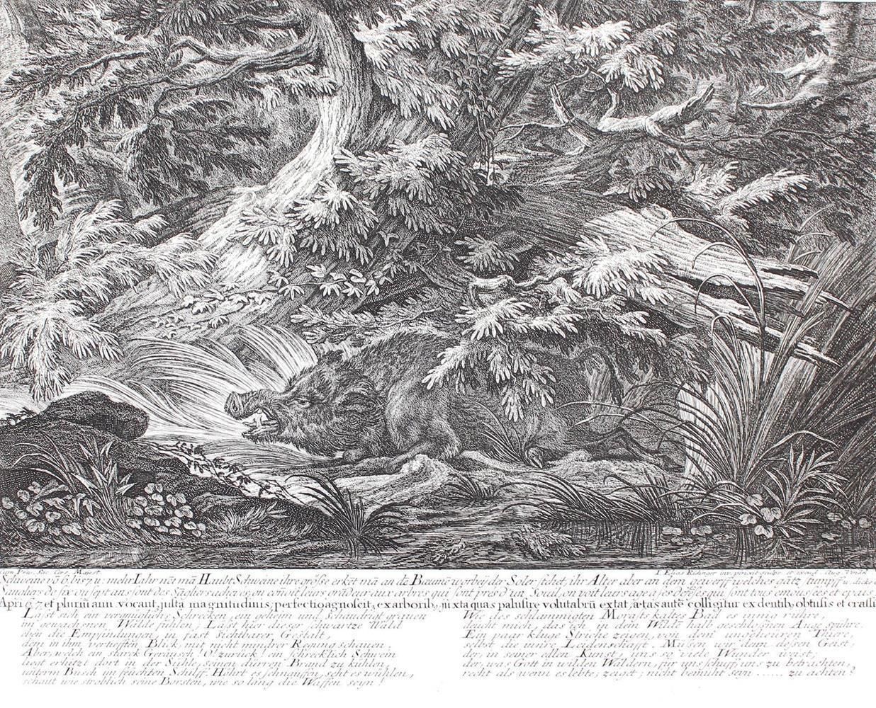 Große Abbildung Nr.4: 143-3036 Jagdkunst.: (Varia, Jagd, Ridinger)