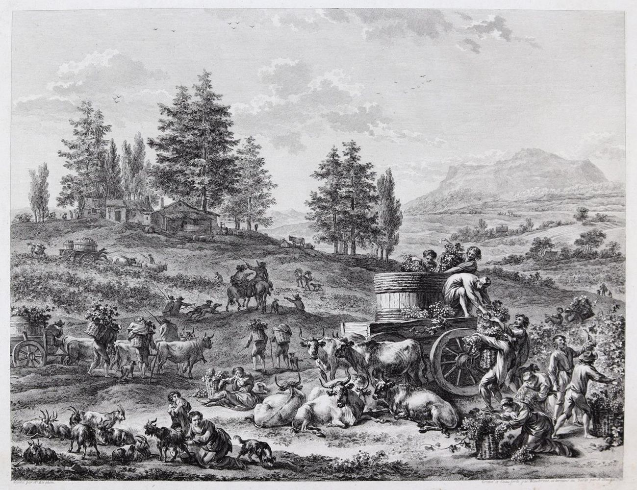 Große Abbildung Nr.1: 143-3104 Weinlese.: (Varia)