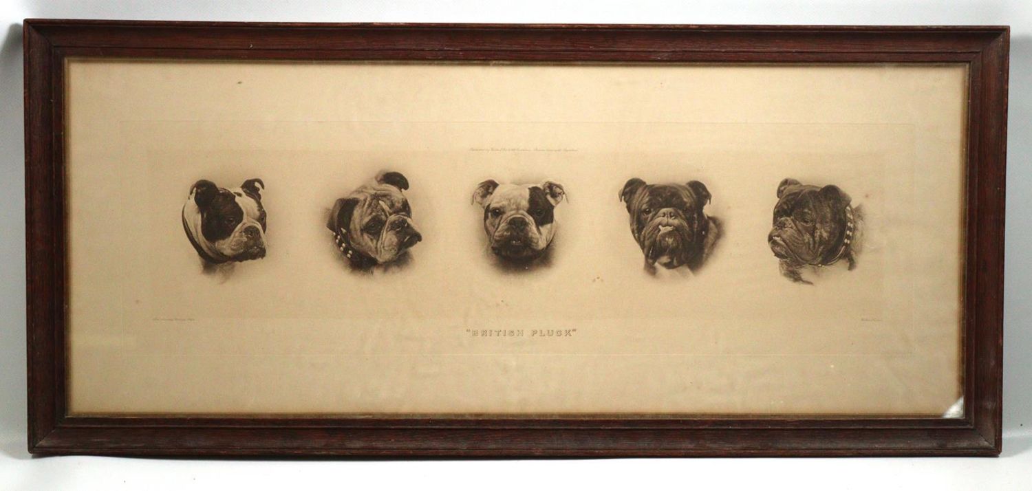 Große Abbildung Nr.16: 143-3106 Mops und Bulldogge.: (Varia, Zoologie, Hunde)