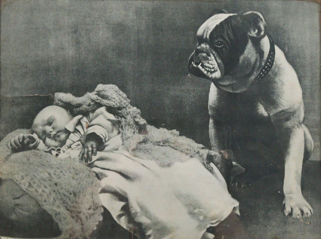 Große Abbildung Nr.18: 143-3106 Mops und Bulldogge.: (Varia, Zoologie, Hunde)
