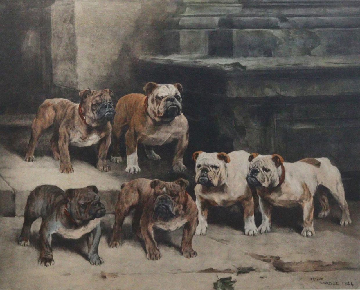Große Abbildung Nr.19: 143-3106 Mops und Bulldogge.: (Varia, Zoologie, Hunde)