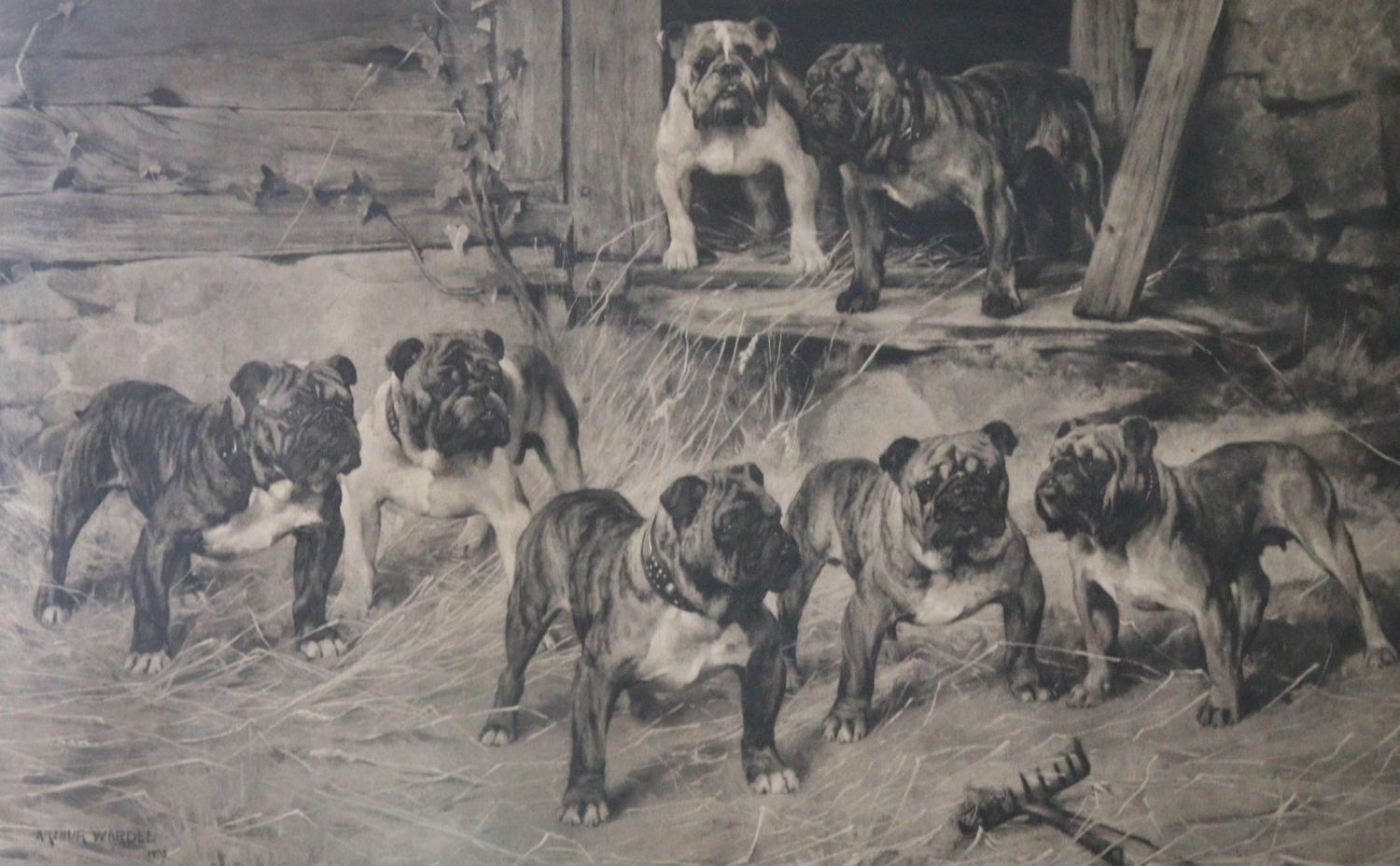 Große Abbildung Nr.20: 143-3106 Mops und Bulldogge.: (Varia, Zoologie, Hunde)