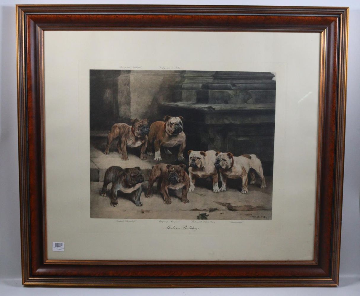 Große Abbildung Nr.5: 143-3106 Mops und Bulldogge.: (Varia, Zoologie, Hunde)