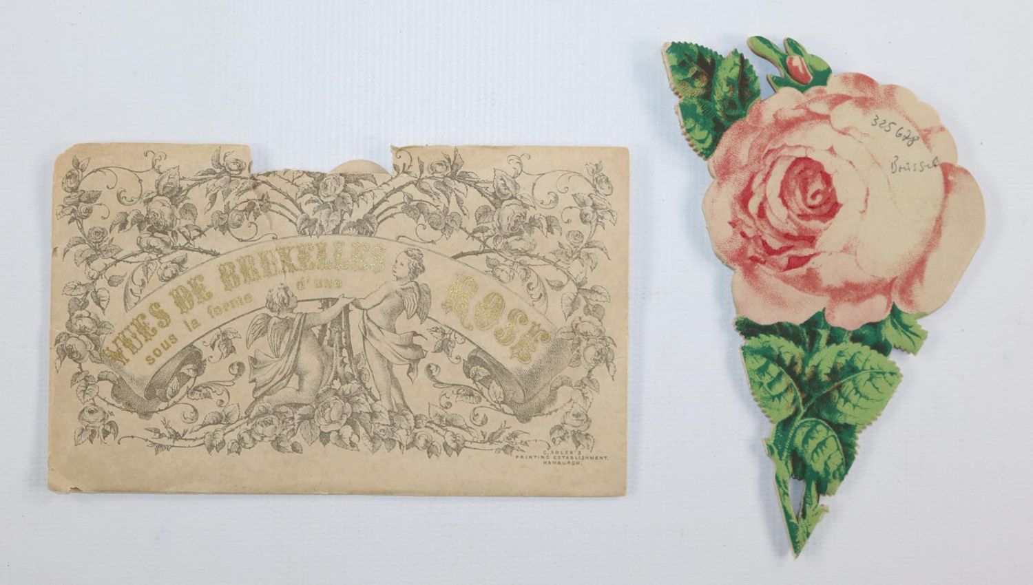 Große Abbildung Nr.2: 143-3275 Souvenirrose: (Ausland, Belgien, Brüssel)