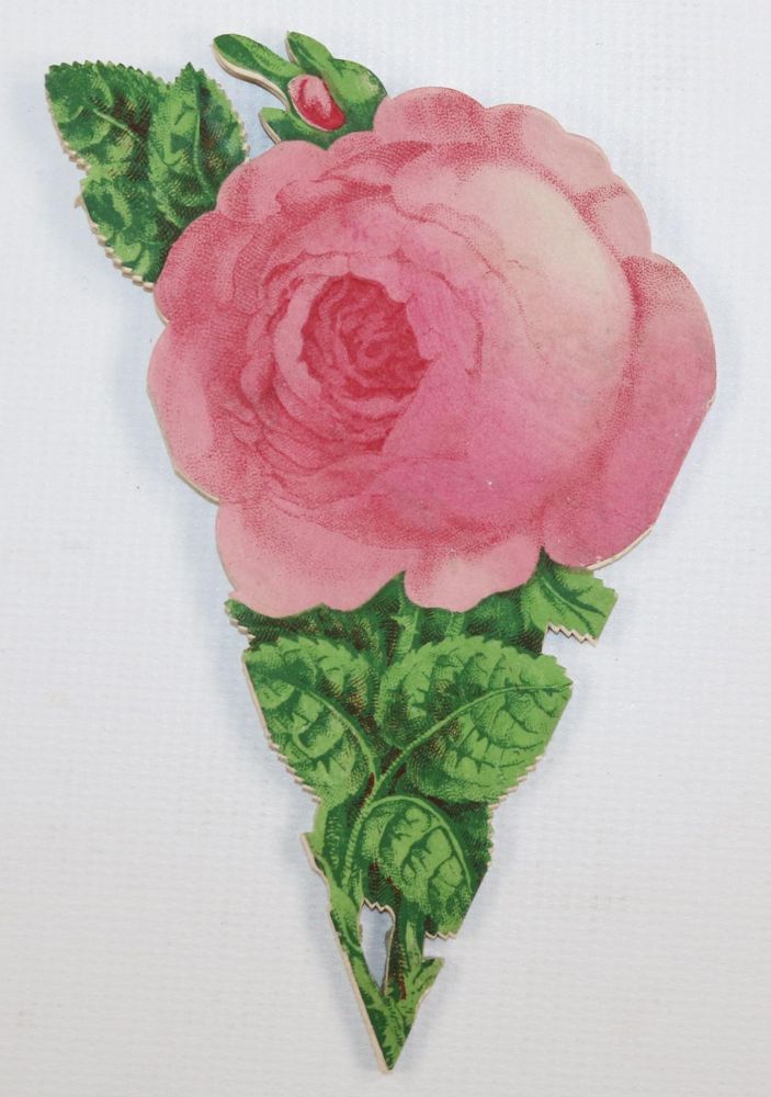 Große Abbildung Nr.3: 143-3278 Souvenirrose: (Ausland, England, Bristol)