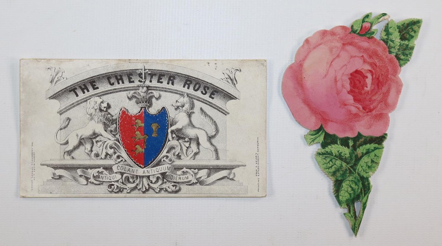 Große Abbildung Nr.3: 143-3279 Souvenirrose: (Ausland, England, Chester)