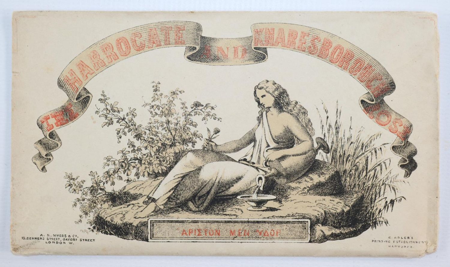 Große Abbildung Nr.21: 143-3280 Souvenirrose: (Ausland, England, Harrogate)