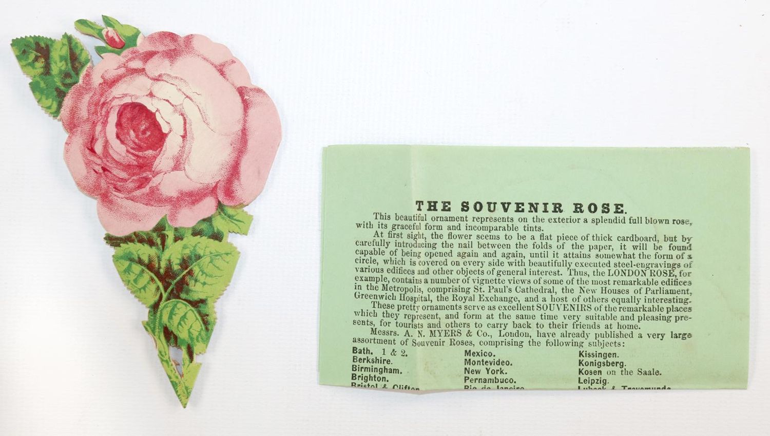 Große Abbildung Nr.22: 143-3280 Souvenirrose: (Ausland, England, Harrogate)