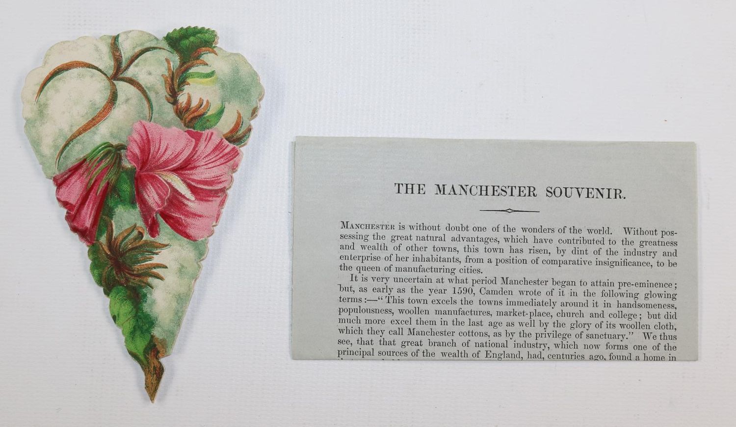Große Abbildung Nr.4: 143-3281 Souvenirrose: (Ausland, England, Manchester)