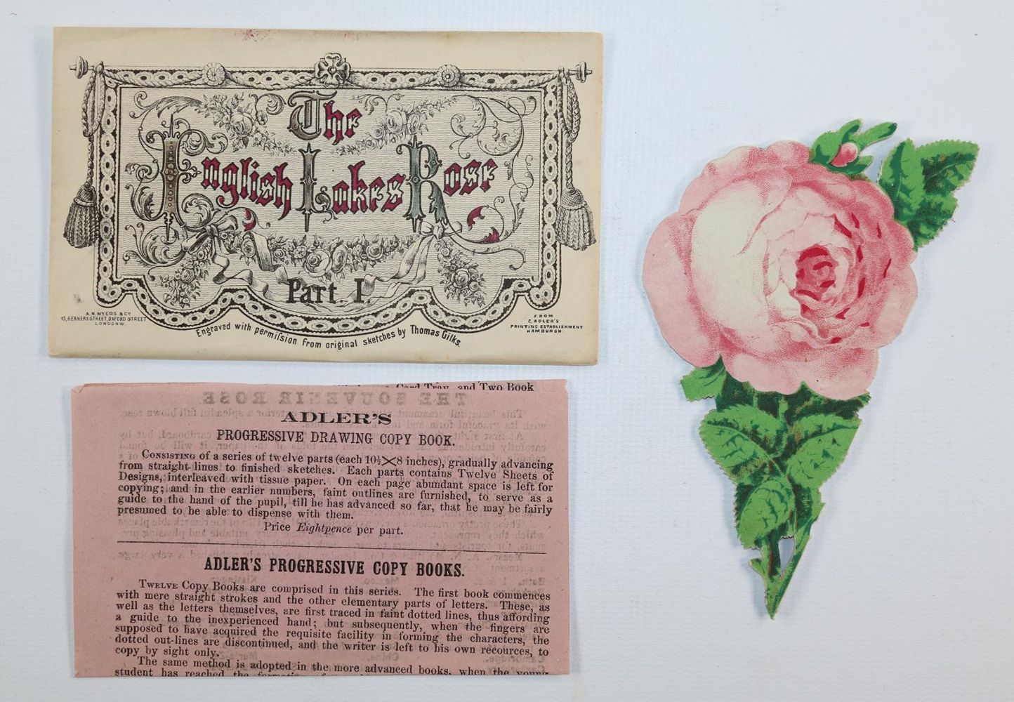 Große Abbildung Nr.3: 143-3282 Souvenirrose: (Ausland, England)