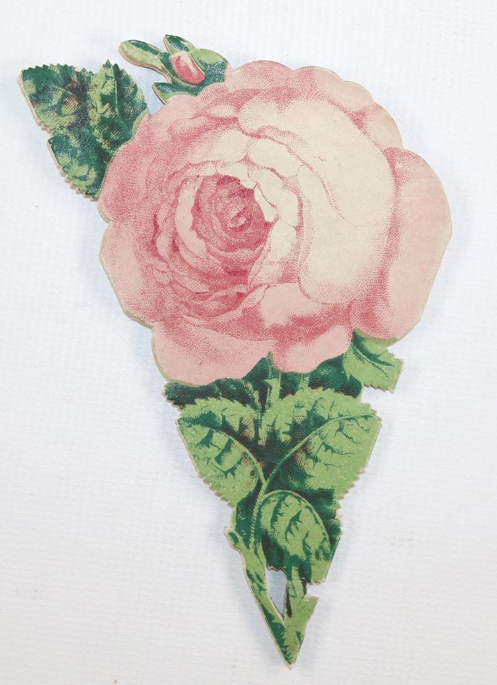 Große Abbildung Nr.3: 143-3388 Souvenirrose: (Ausland, Niederlande)