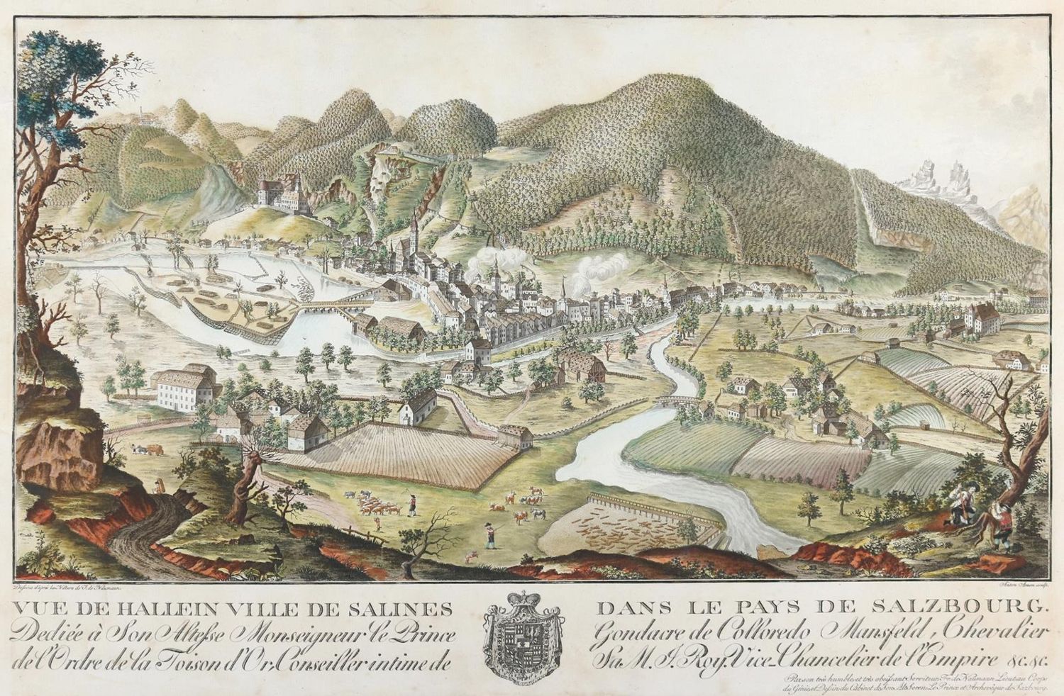 Große Abbildung Nr.1: 143-3391 Naumann, August Franz Heinrich von: (Ausland, Österreich, Hallein)
