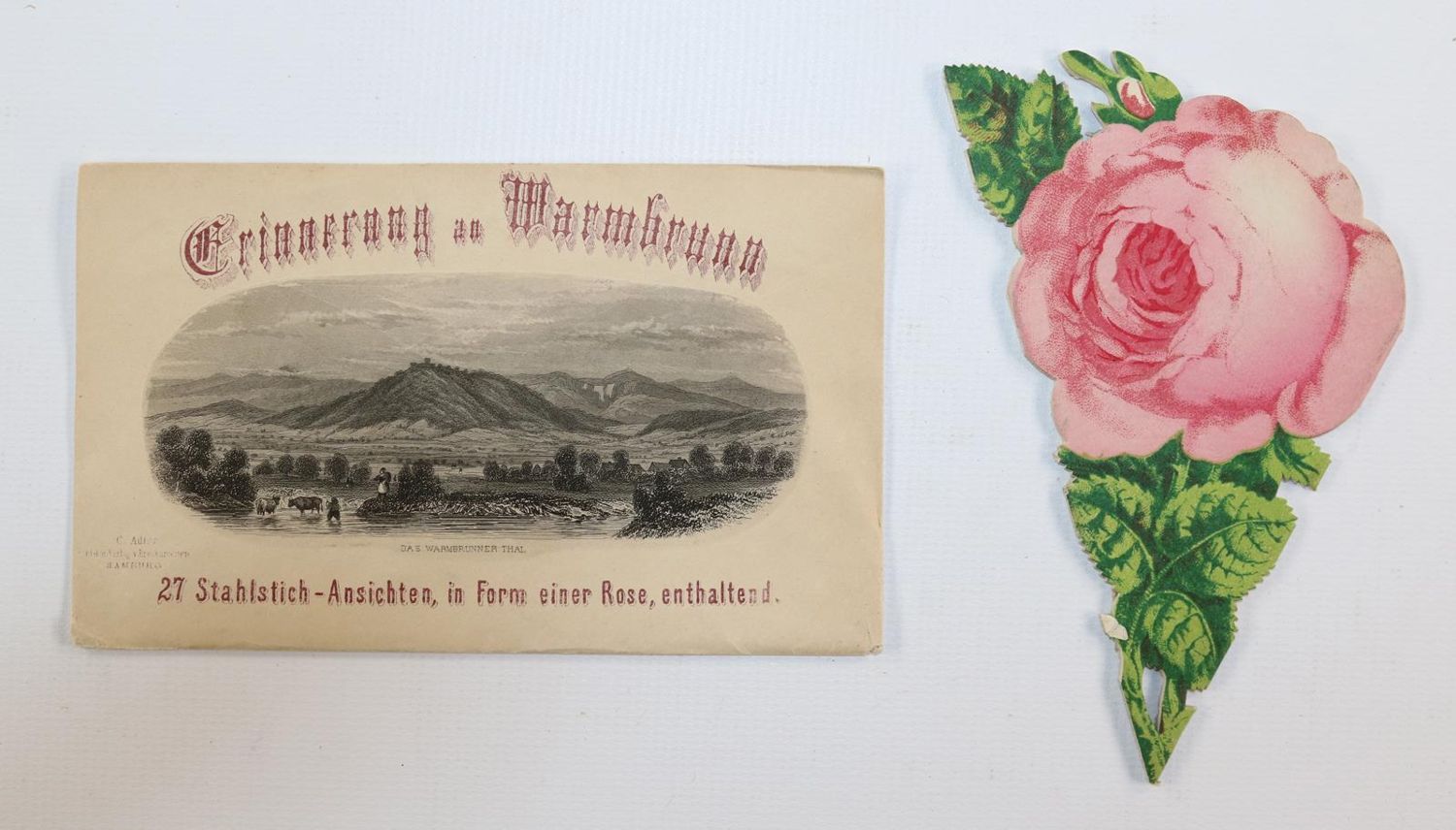 Große Abbildung Nr.3: 143-3403 Souvenirrose: (Ausland, Polen, Warmbrunn)