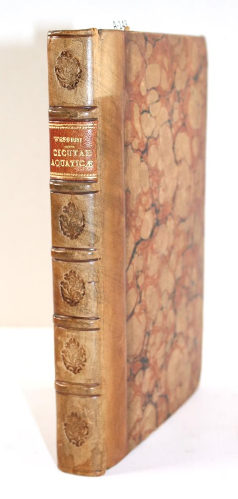 Große Abbildung Nr.2: 143-342 Wepfer,J.J.: (Alte Drucke, Handschriften und Theologie)