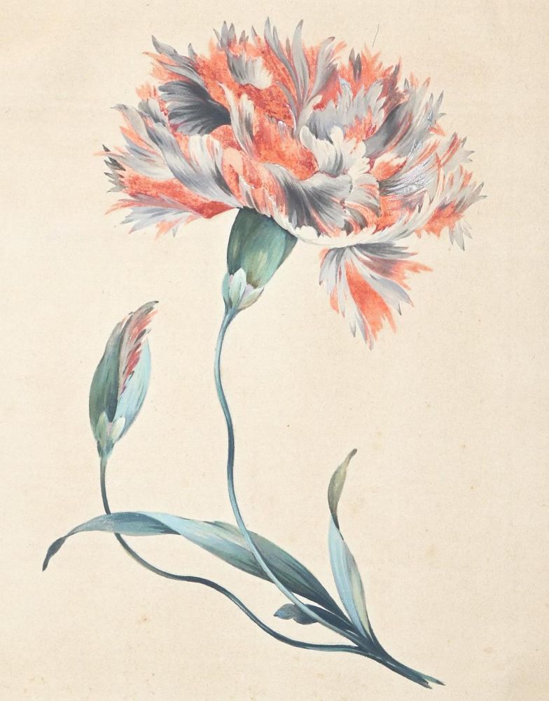 Große Abbildung Nr.1: 143-3603 Blumen.: (Künstlergraphik)