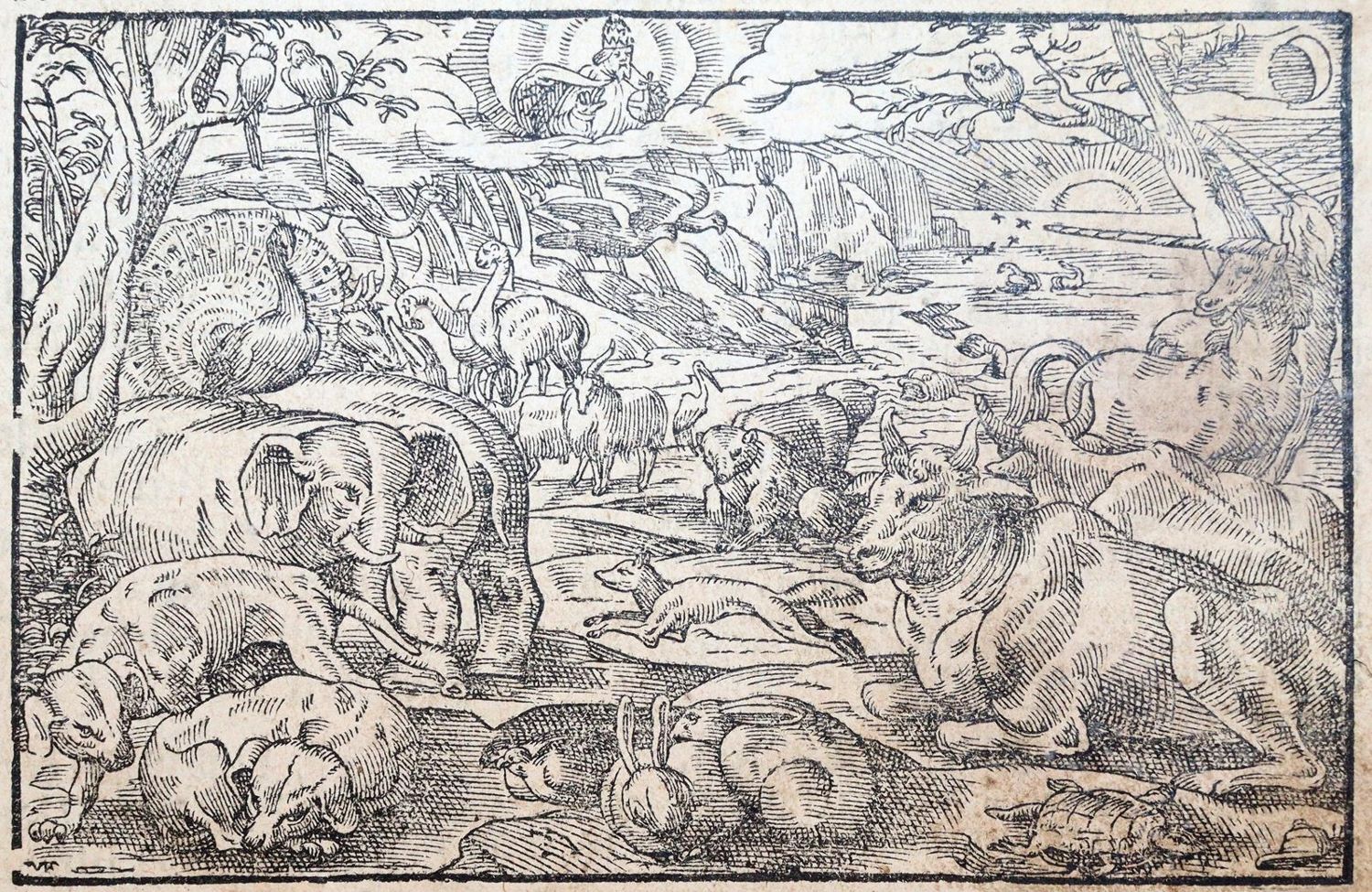 Große Abbildung Nr.2: 143-37 Biblia germanica.: (Bibeln)