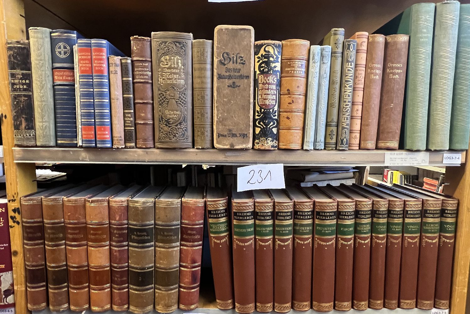Große Abbildung Nr.24: 143-370 Gelehrtenbibliothek,: (Varia)