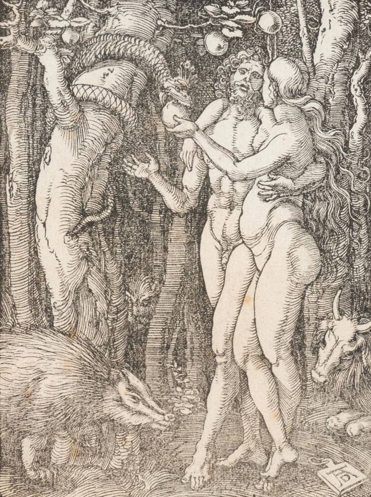 Große Abbildung Nr.1: 143-3745 Dürer, Albrecht: (Künstlergraphik)