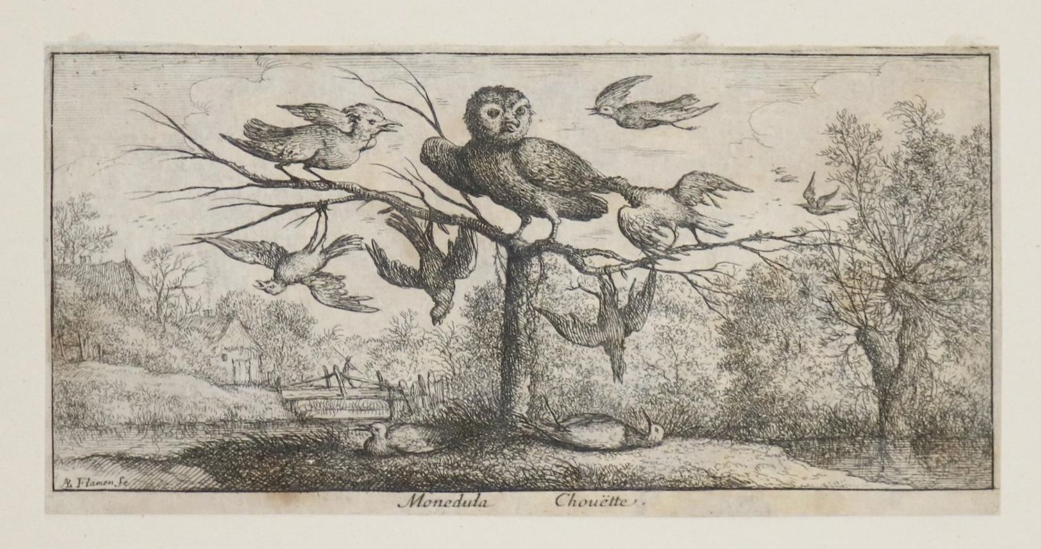 Große Abbildung Nr.5: 143-3805 Flamen,Albert: (Künstlergraphik)
