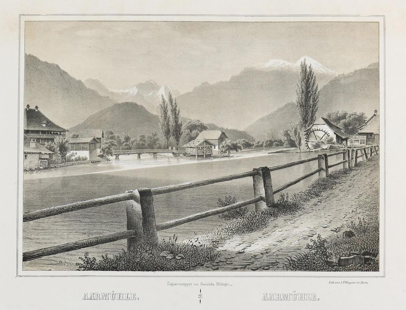 Große Abbildung Nr.1: 143-4242 Möllinger, Franziska Louise: (Künstlergraphik)