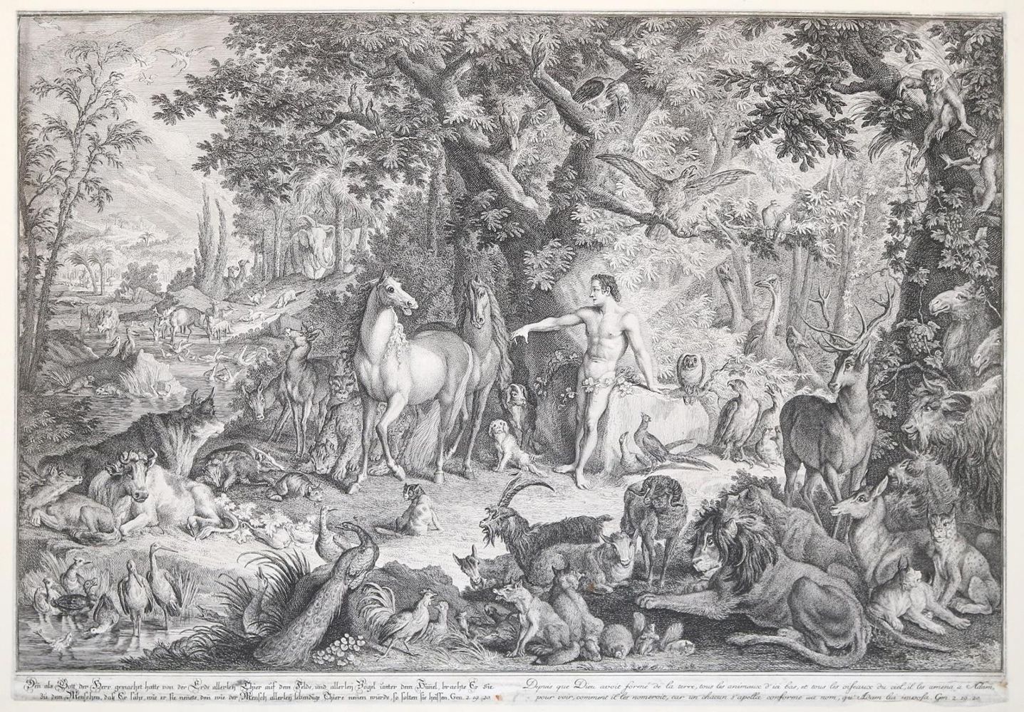Große Abbildung Nr.2: 143-4407 Ridinger, Johann Elias: (Künstlergraphik)
