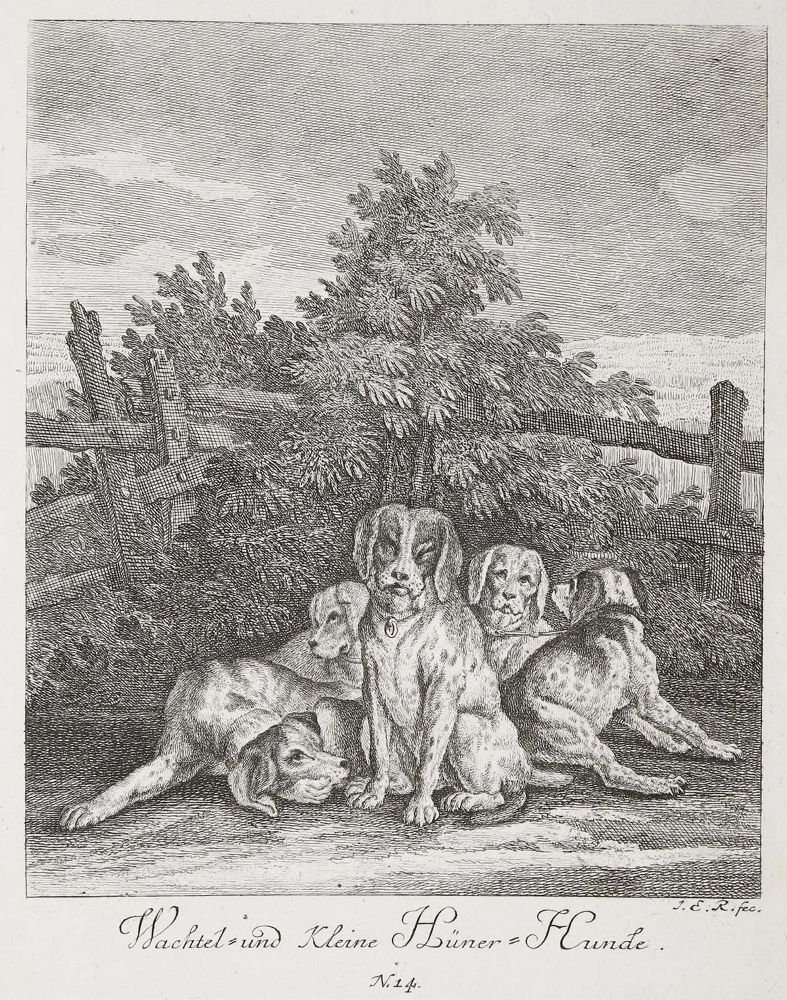 Große Abbildung Nr.1: 143-4409 Ridinger, Johann Elias: (Künstlergraphik)