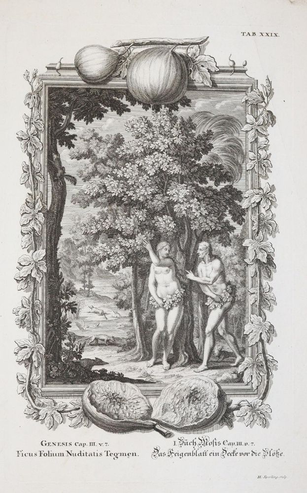 Große Abbildung Nr.2: 143-4529 Tardieu, Nicolas-Henri: (Künstlergraphik)