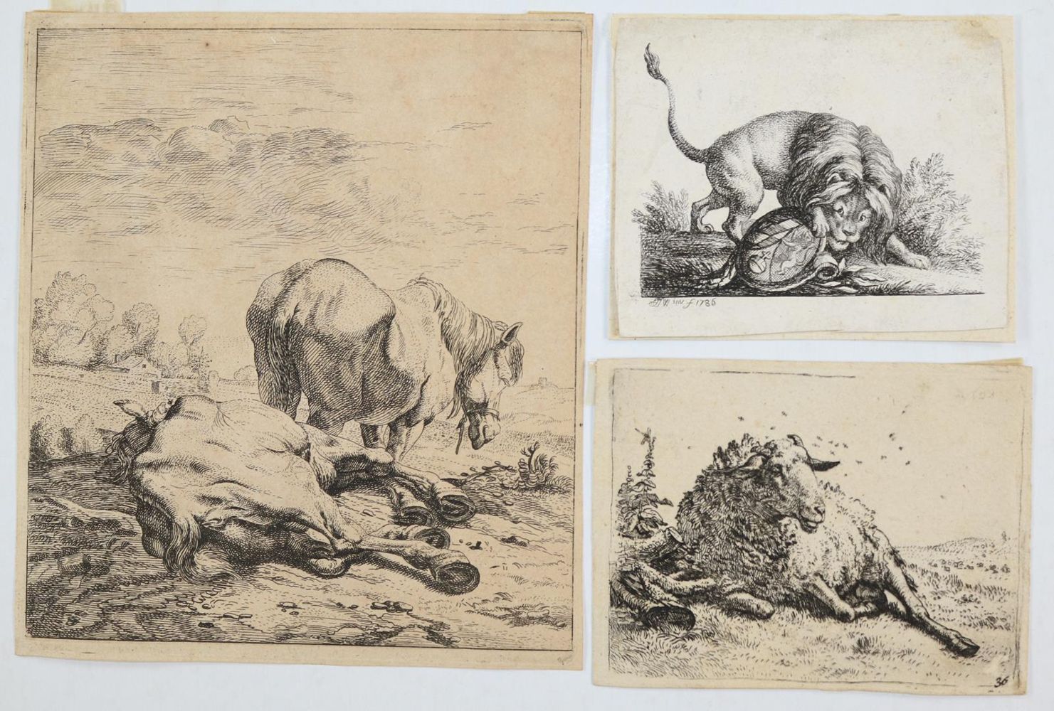 Große Abbildung Nr.14: 143-4543 Tiere und Landschaften.: (Künstlergraphik)