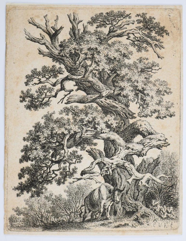Große Abbildung Nr.5: 143-4543 Tiere und Landschaften.: (Künstlergraphik)