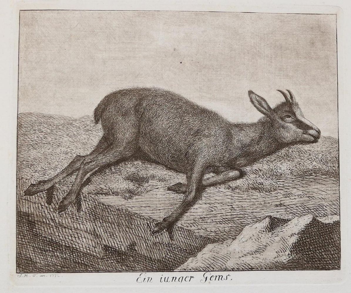 Große Abbildung Nr.12: 143-4545 Tischbein, Johann Heinrich: (Künstlergraphik)