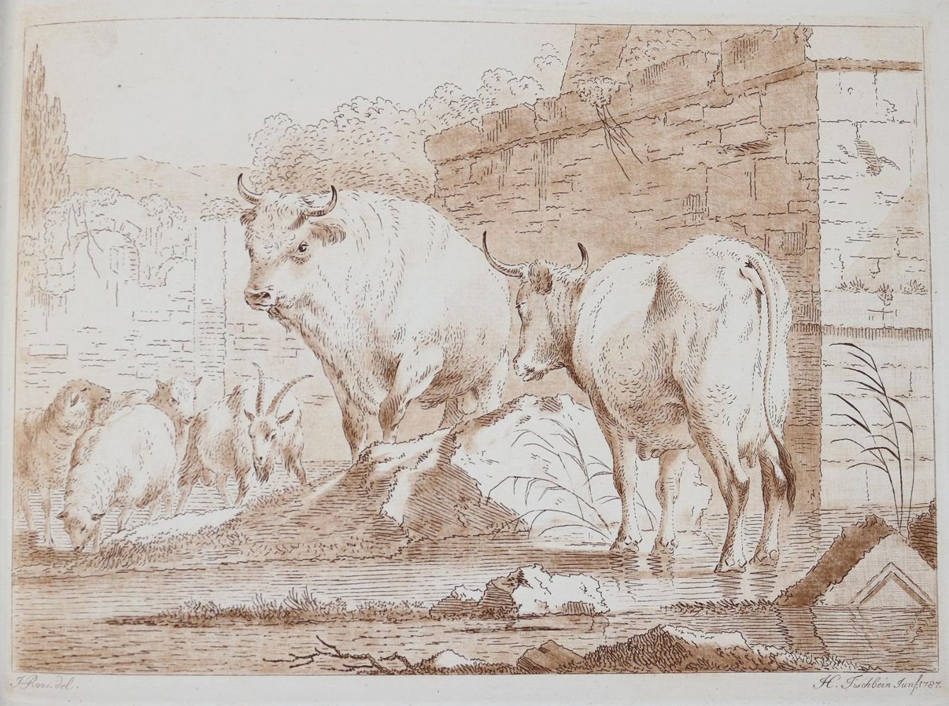 Große Abbildung Nr.13: 143-4545 Tischbein, Johann Heinrich: (Künstlergraphik)