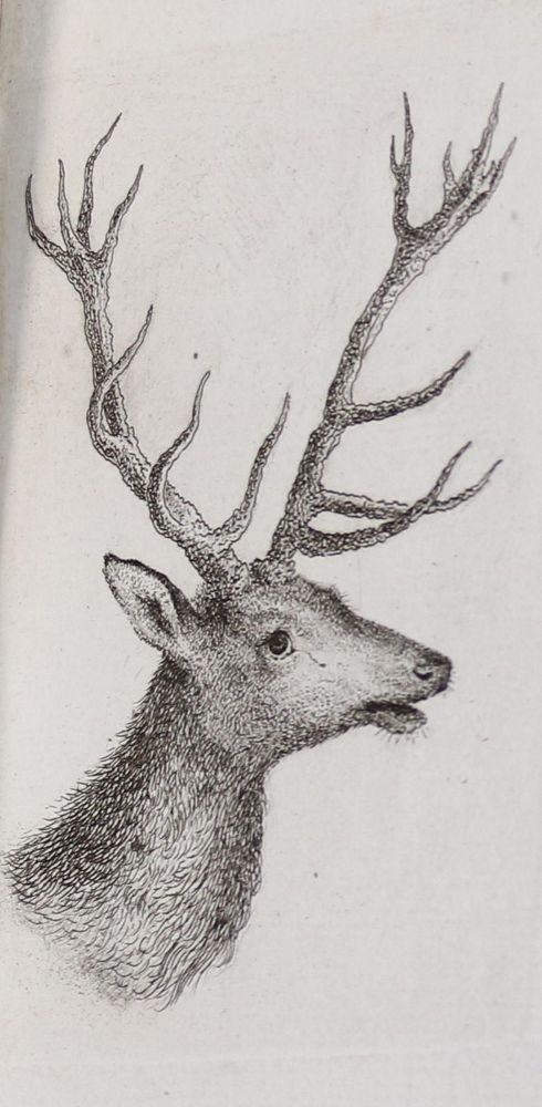 Große Abbildung Nr.21: 143-4545 Tischbein, Johann Heinrich: (Künstlergraphik)