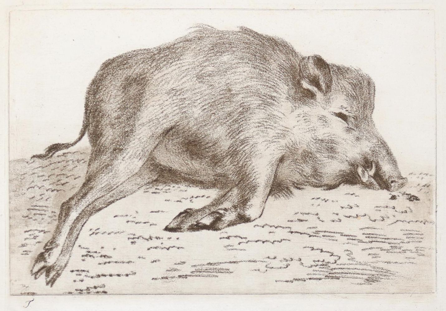 Große Abbildung Nr.3: 143-4545 Tischbein, Johann Heinrich: (Künstlergraphik)
