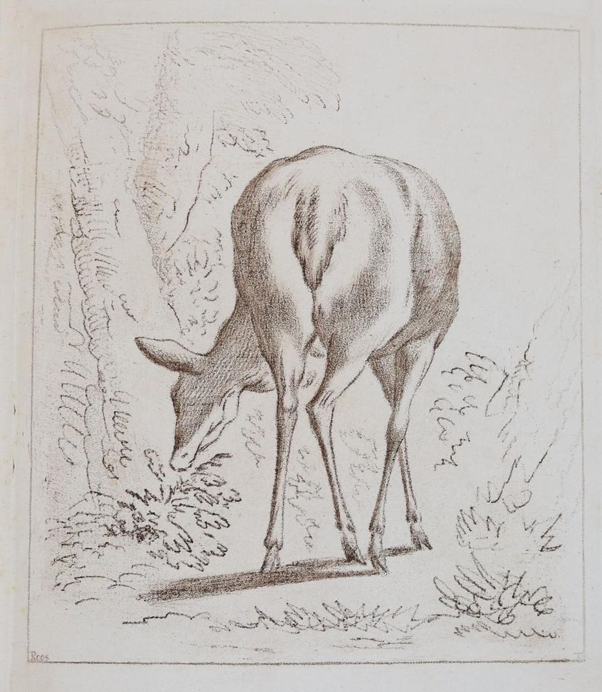 Große Abbildung Nr.7: 143-4545 Tischbein, Johann Heinrich: (Künstlergraphik)