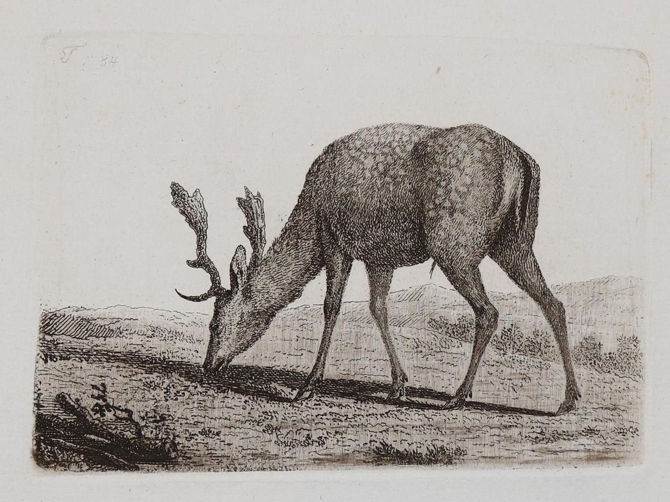 Große Abbildung Nr.9: 143-4545 Tischbein, Johann Heinrich: (Künstlergraphik)