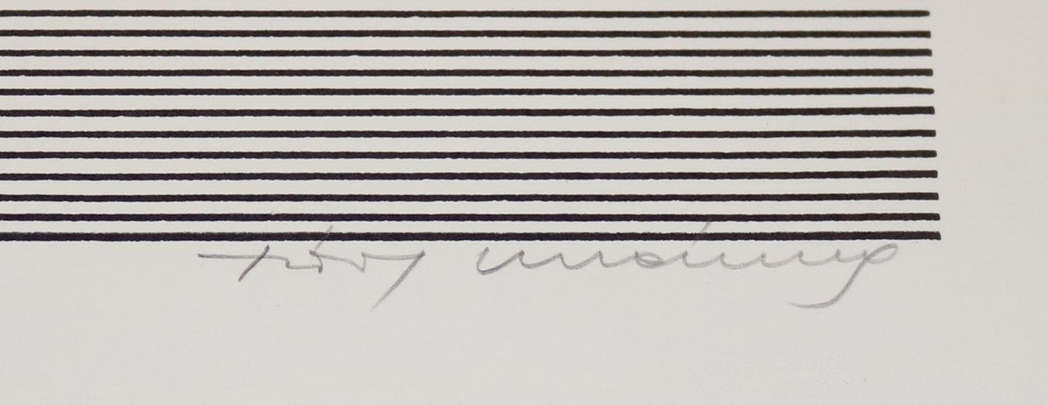 Große Abbildung Nr.2: 143-4563 Ulrichs, Timm: (Künstlergraphik)