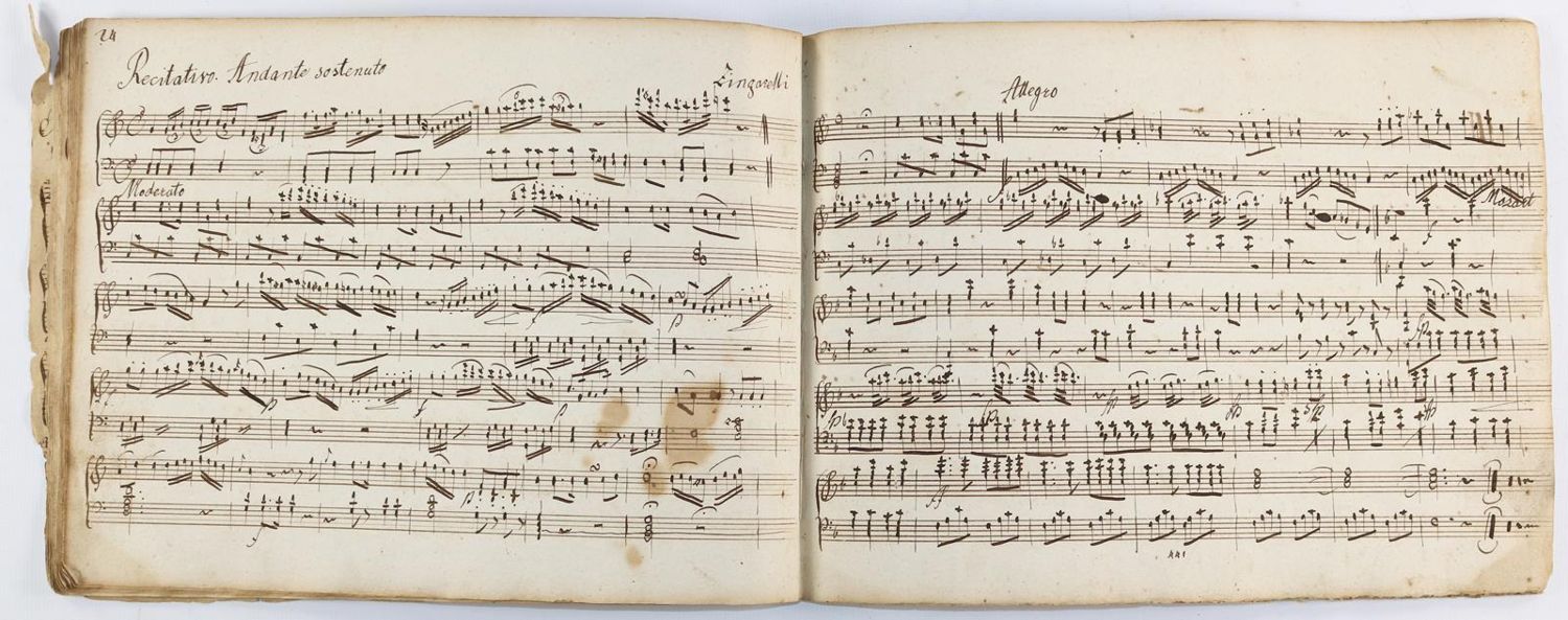 Große Abbildung Nr.22: 143-483 Stegmayer,M.: (Musik, Handschriften)