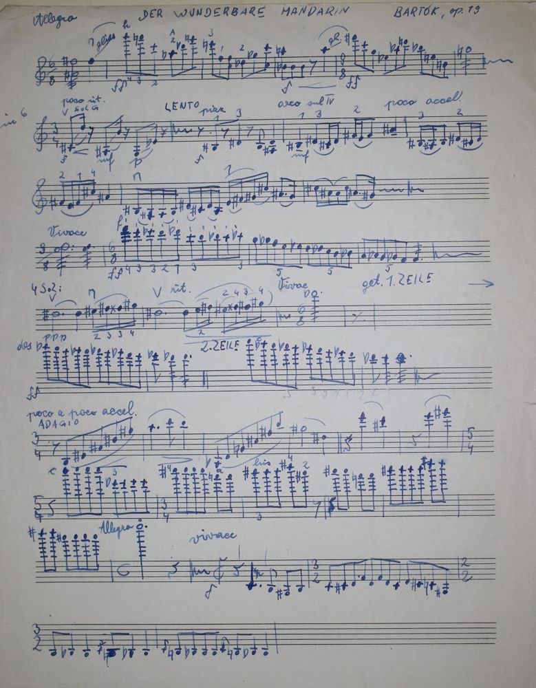Große Abbildung Nr.2: 143-494 Schreinzer,K.: (Musik)