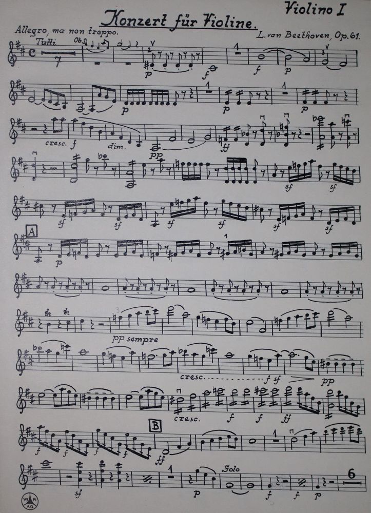 Große Abbildung Nr.3: 143-494 Schreinzer,K.: (Musik)