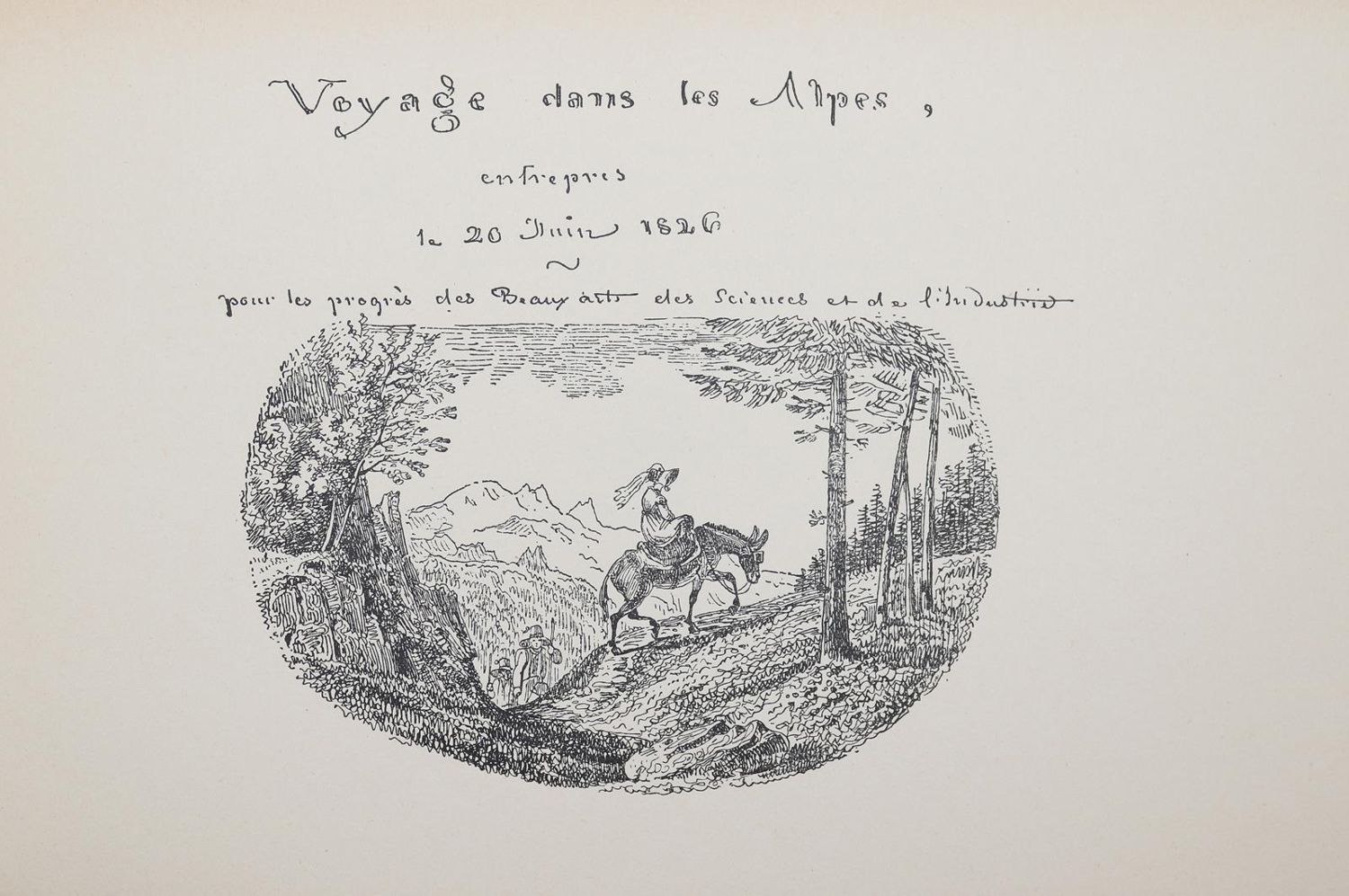 Große Abbildung Nr.51: 143-512 Rückgänge: (Varia)