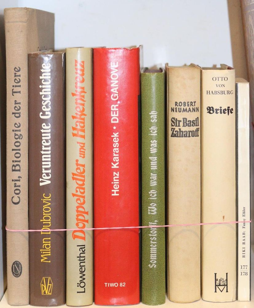 Große Abbildung Nr.293: 143-513 Rückgänge: (Varia)
