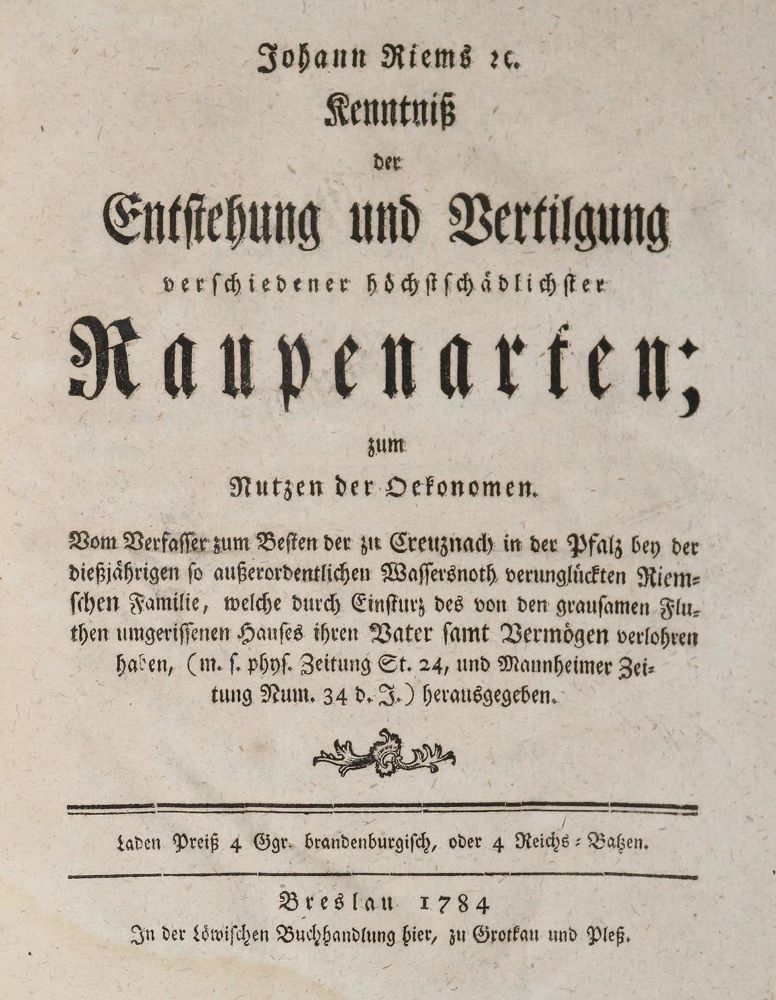 Große Abbildung Nr.1: 143-516 Rückgänge.: (Varia)