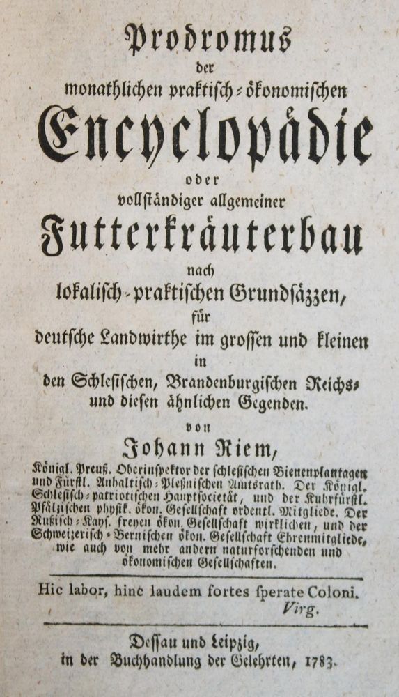 Große Abbildung Nr.2: 143-516 Rückgänge.: (Varia)