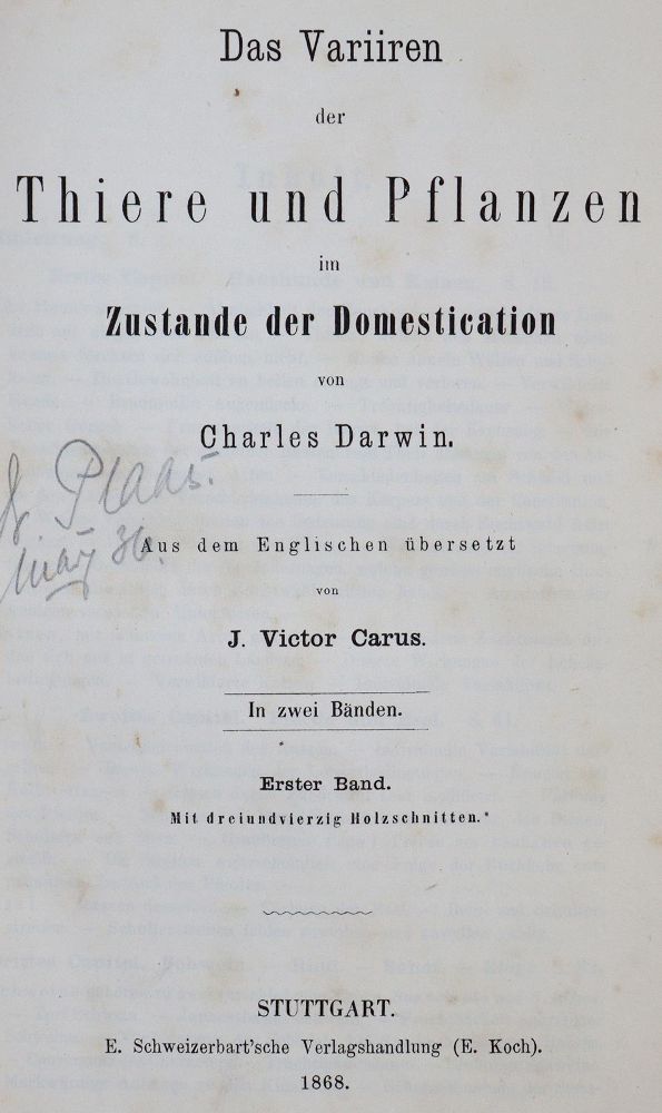 Große Abbildung Nr.41: 143-520 Rückgänge.: (Varia)
