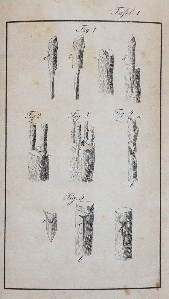 Große Abbildung Nr.2: 143-578 Metzger,J.: (Küche und Haushalt, Garten)